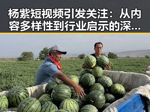 杨紫短视频引发关注：从内容多样性到行业启示的深层解析