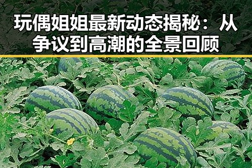 玩偶姐姐最新动态揭秘：从争议到高潮的全景回顾